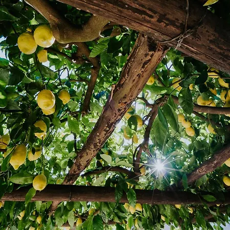 Il Giardino Dei Limoni Apartman *
