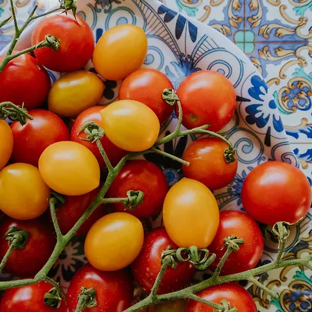 Il Giardino Dei Limoni 아파트 Polvica