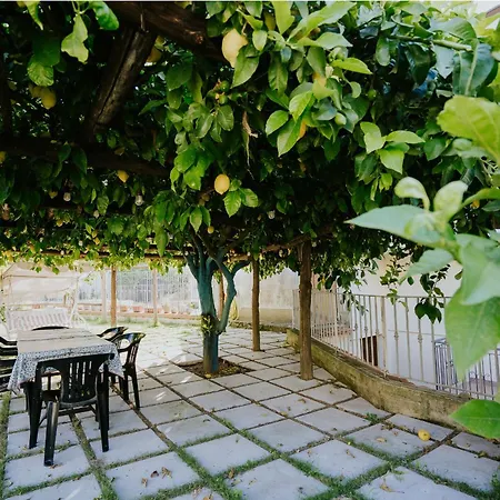 Il Giardino Dei Limoni * Polvica