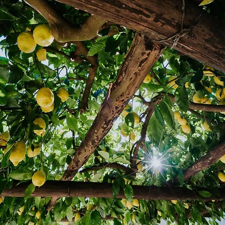Il Giardino Dei Limoni 아파트 *